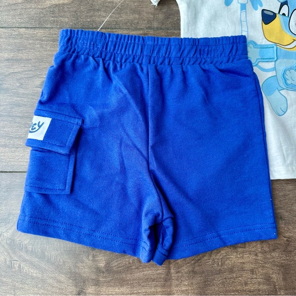 Bluey Themed Toddler Outfit - Short Sleeves & Shorts - Size: 3T - NWT - Picture 10 of 11